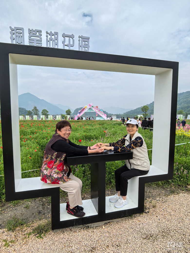 打卡铜鉴湖花海