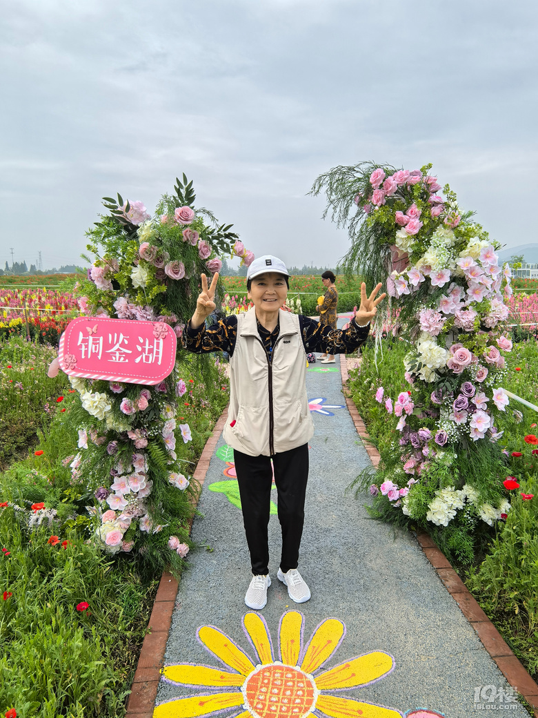 打卡铜鉴湖花海