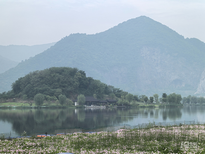 打卡铜鉴湖花海