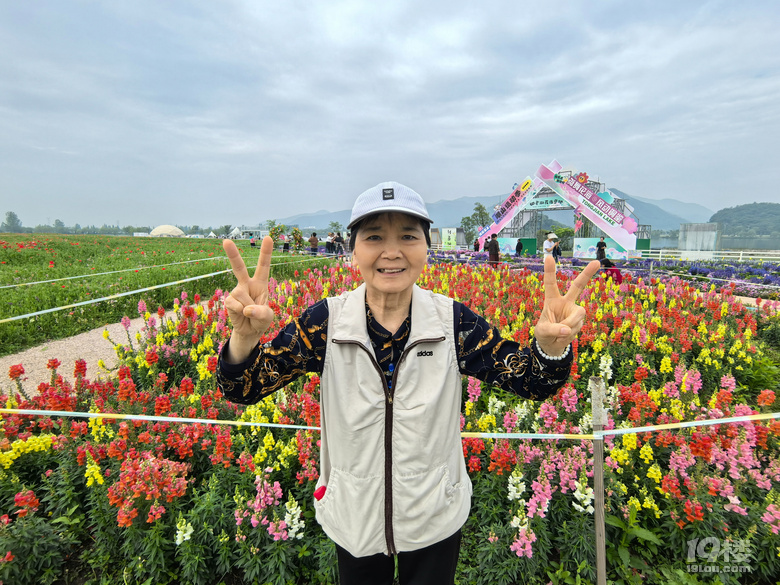 打卡铜鉴湖花海