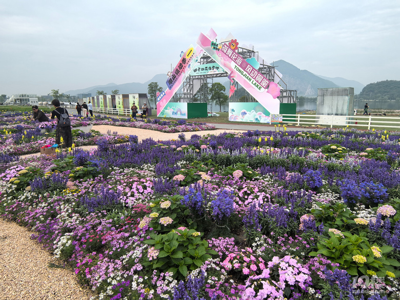 打卡铜鉴湖花海