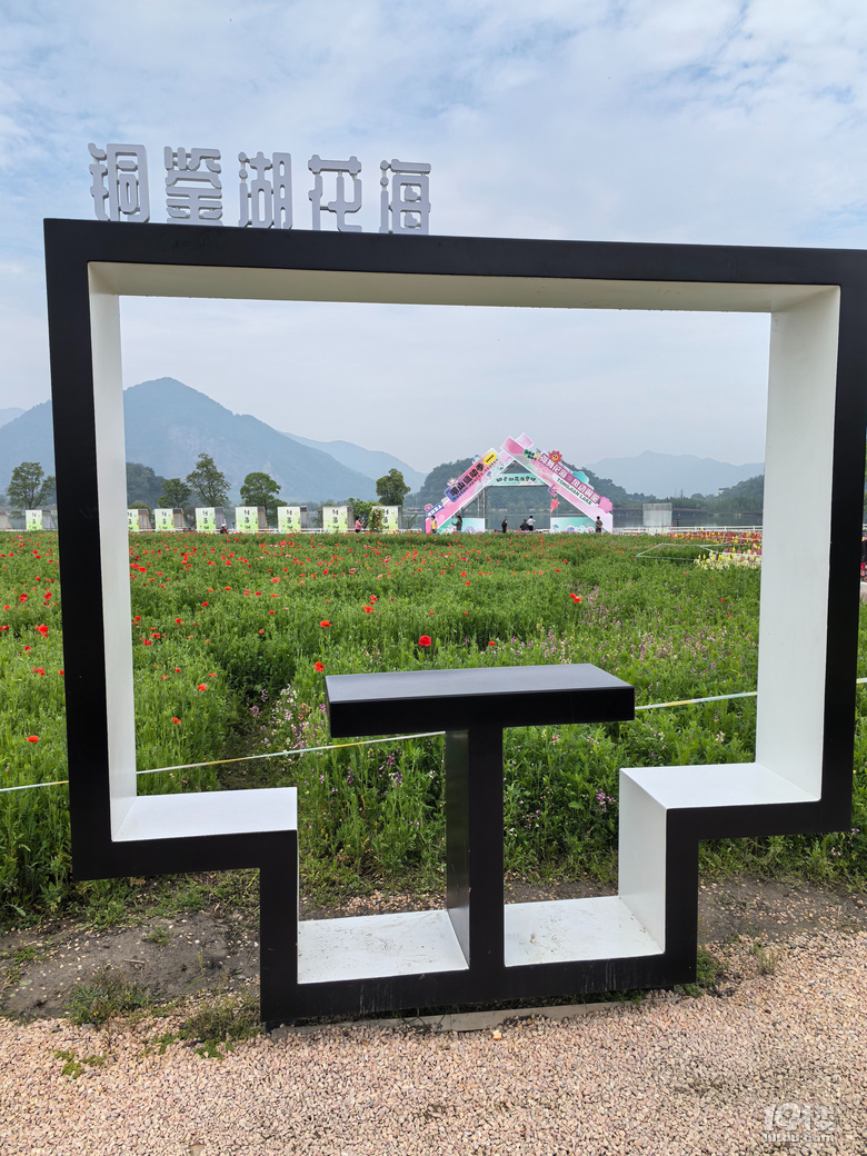 打卡铜鉴湖花海