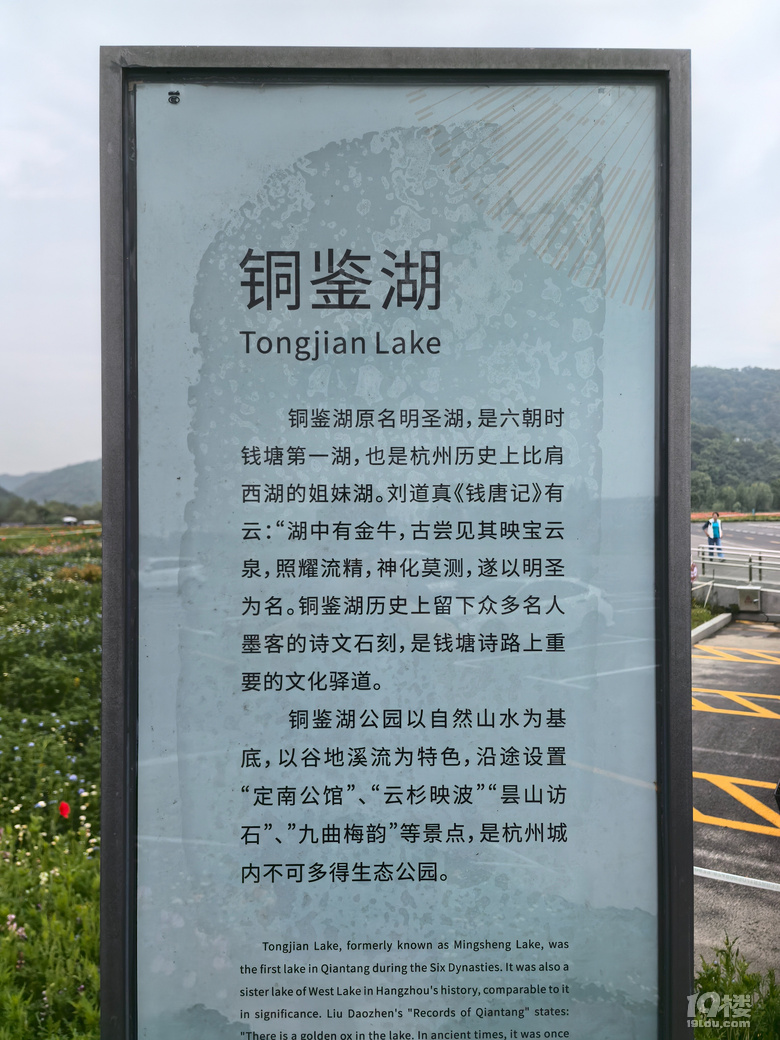 打卡铜鉴湖花海