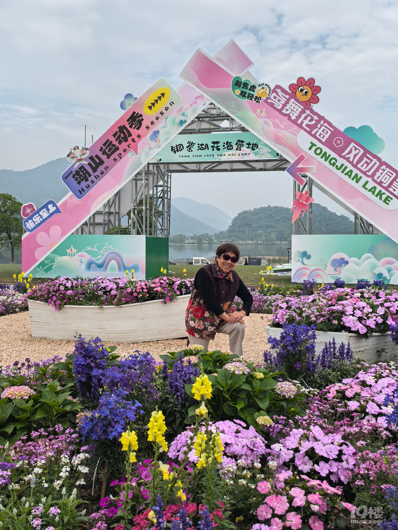 打卡铜鉴湖花海