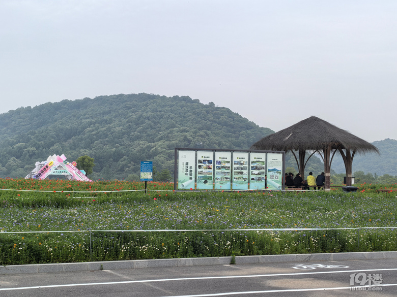打卡铜鉴湖花海