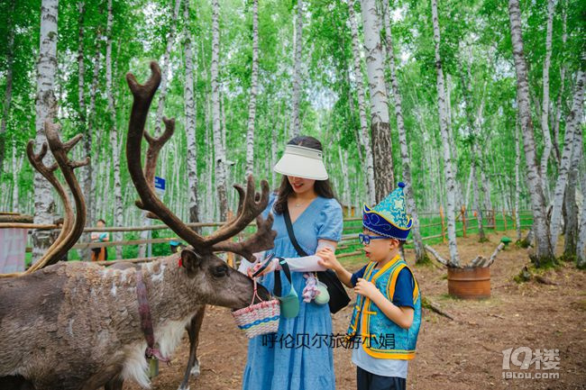 呼伦贝尔6天5晚小众秘境穿越，SUV越野车解锁草原治愈系浪漫