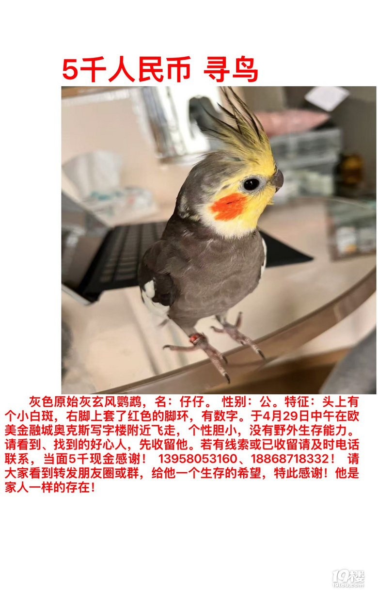 ຼؽB韩ҿD(zhun)l(f)xx