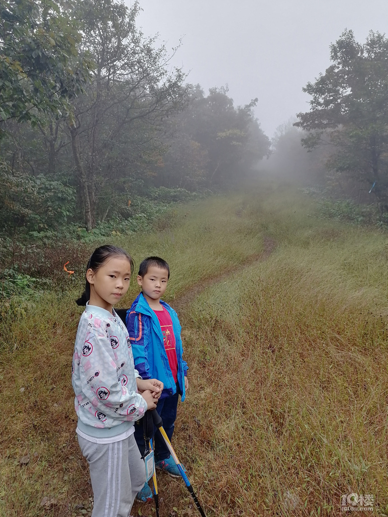 登“天目第一峰”龍王山,還欣賞了黃浦江源頭