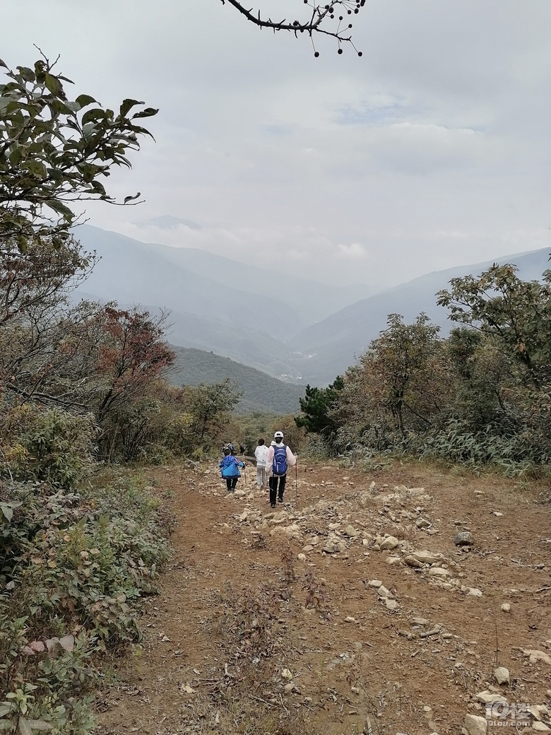 登“天目第一峰”龍王山,還欣賞了黃浦江源頭