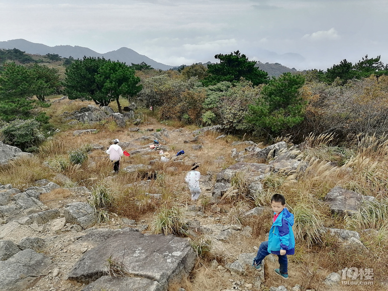 登“天目第一峰”龍王山,還欣賞了黃浦江源頭