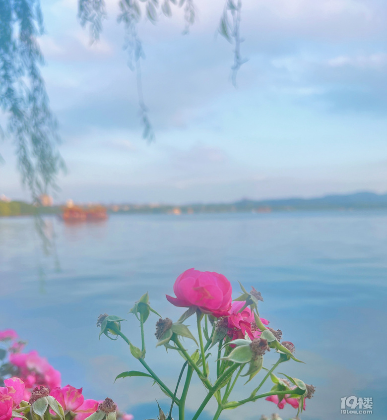 光赋予色，色赋予景，雨后西湖