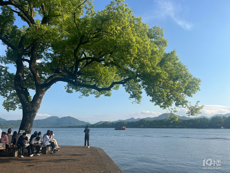 光赋予色，色赋予景，雨后西湖