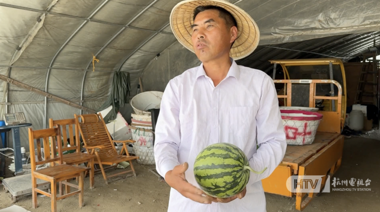 4.5元一斤,已正式上市!很多杭州人的“夢中情瓜”,更便宜了