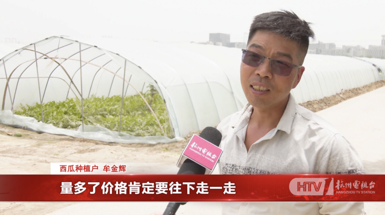 4.5元一斤,已正式上市!很多杭州人的“夢中情瓜”,更便宜了