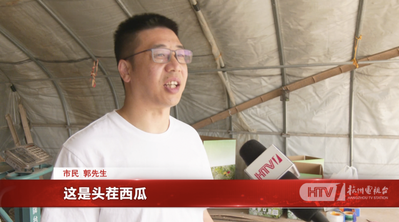 4.5元一斤,已正式上市!很多杭州人的“夢中情瓜”,更便宜了