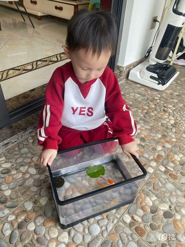 你是人间四月天