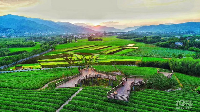 鄉(xiāng)村旅游看浙江:非遺傳承繪就共富新圖景