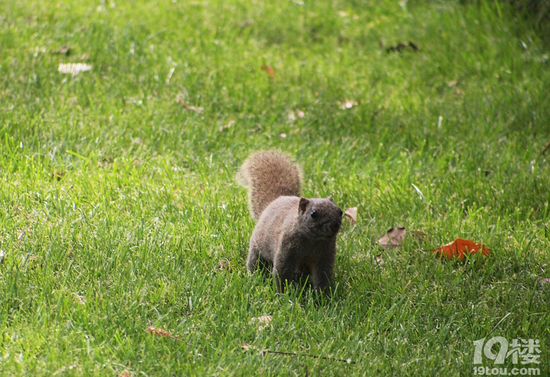 [����ͼ]��+����