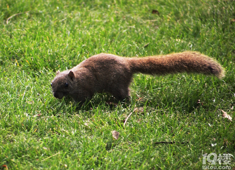 [����ͼ]��+����