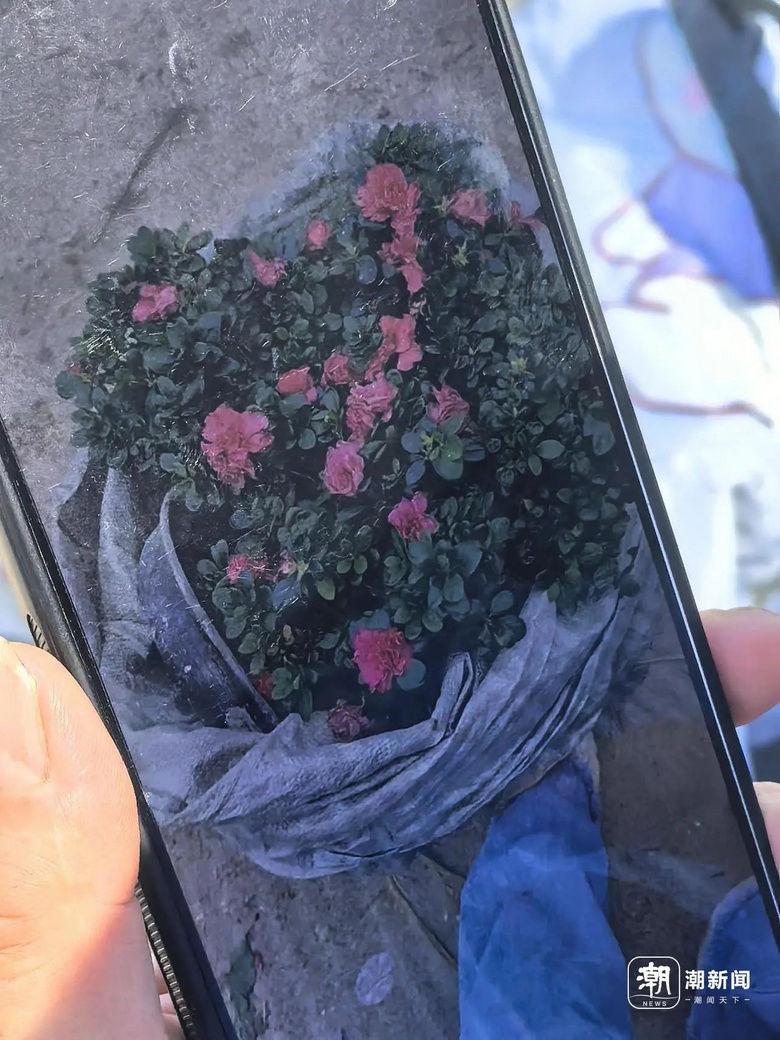美丽鲜花不要钱？杭城一处“垃圾山”，不少人赶来0元购！