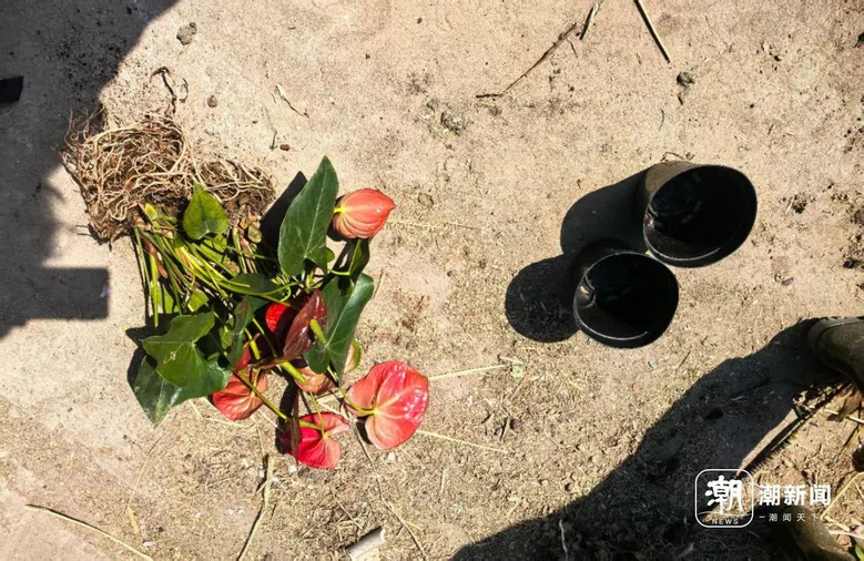 美丽鲜花不要钱？杭城一处“垃圾山”，不少人赶来0元购！