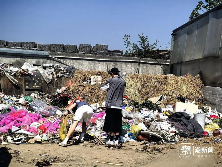 美丽鲜花不要钱？杭城一处“垃圾山”，不少人赶来0元购！