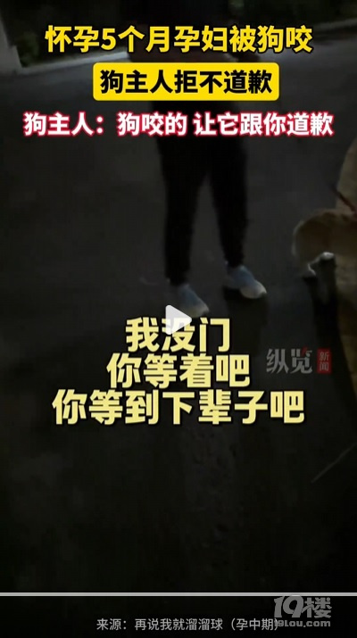 孕妇被狗咬主人见没咬伤拒不道歉