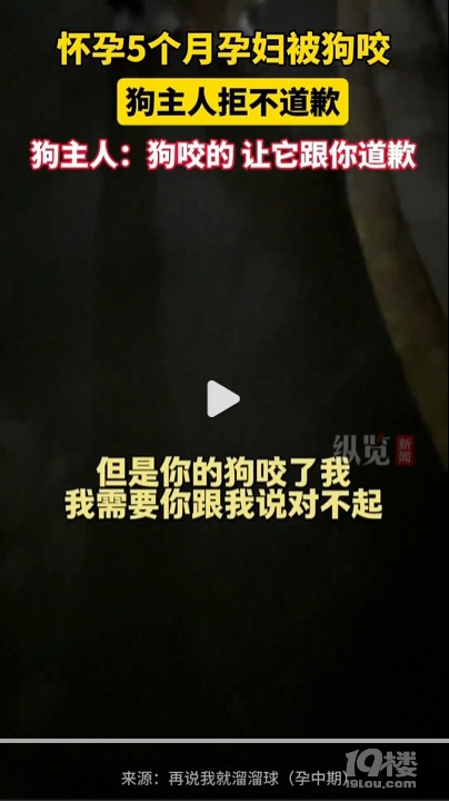 孕妇被狗咬主人见没咬伤拒不道歉