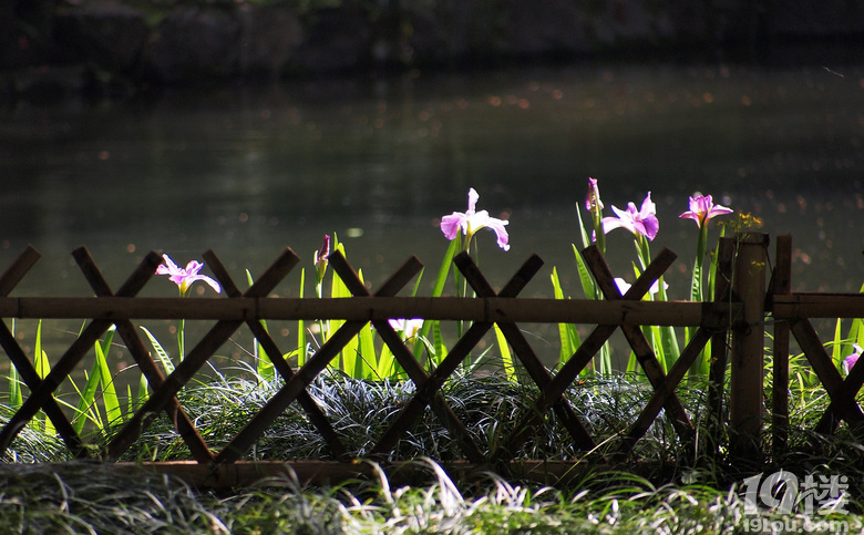 [����ͼ]��+����