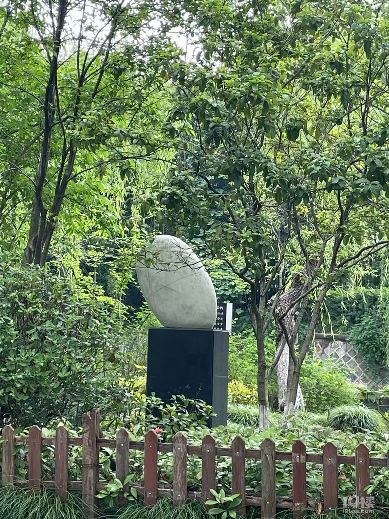 石头？跟老丁以前发型挺像，光秃秃的