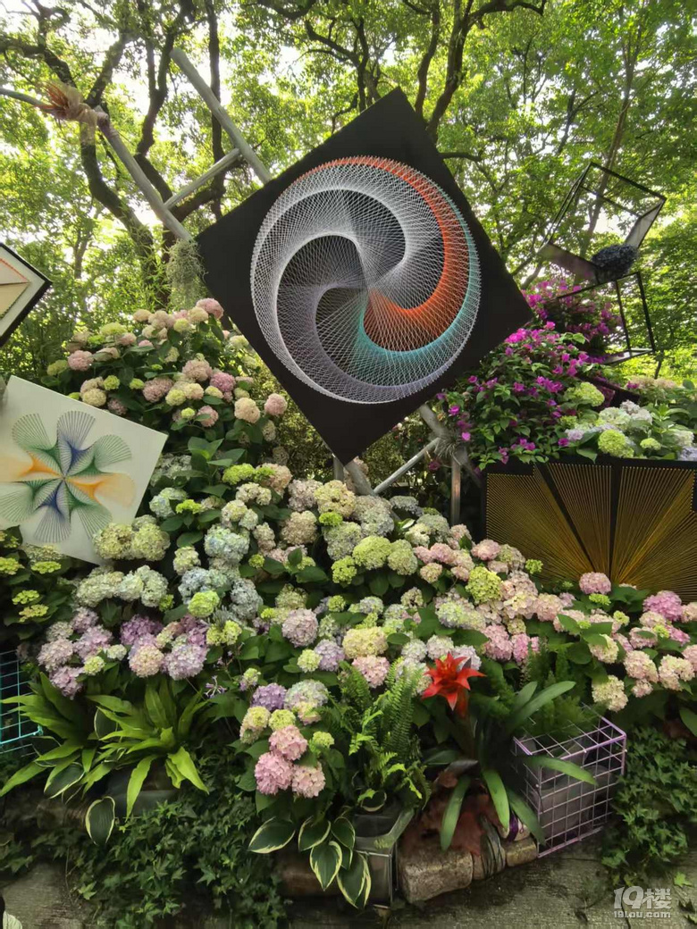 2025城隍阁绣球花展