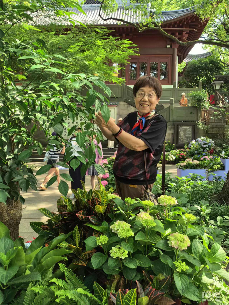 2025城隍阁绣球花展