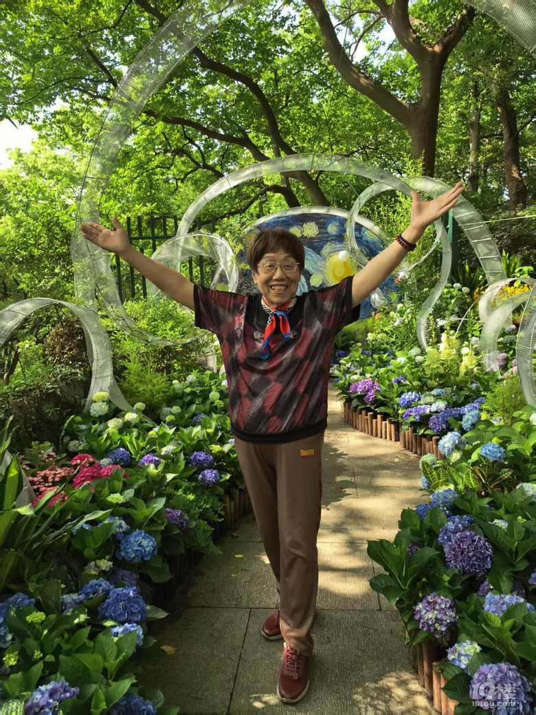 2025城隍阁绣球花展