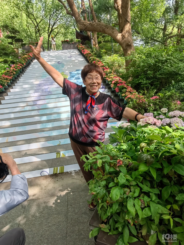 2025城隍阁绣球花展