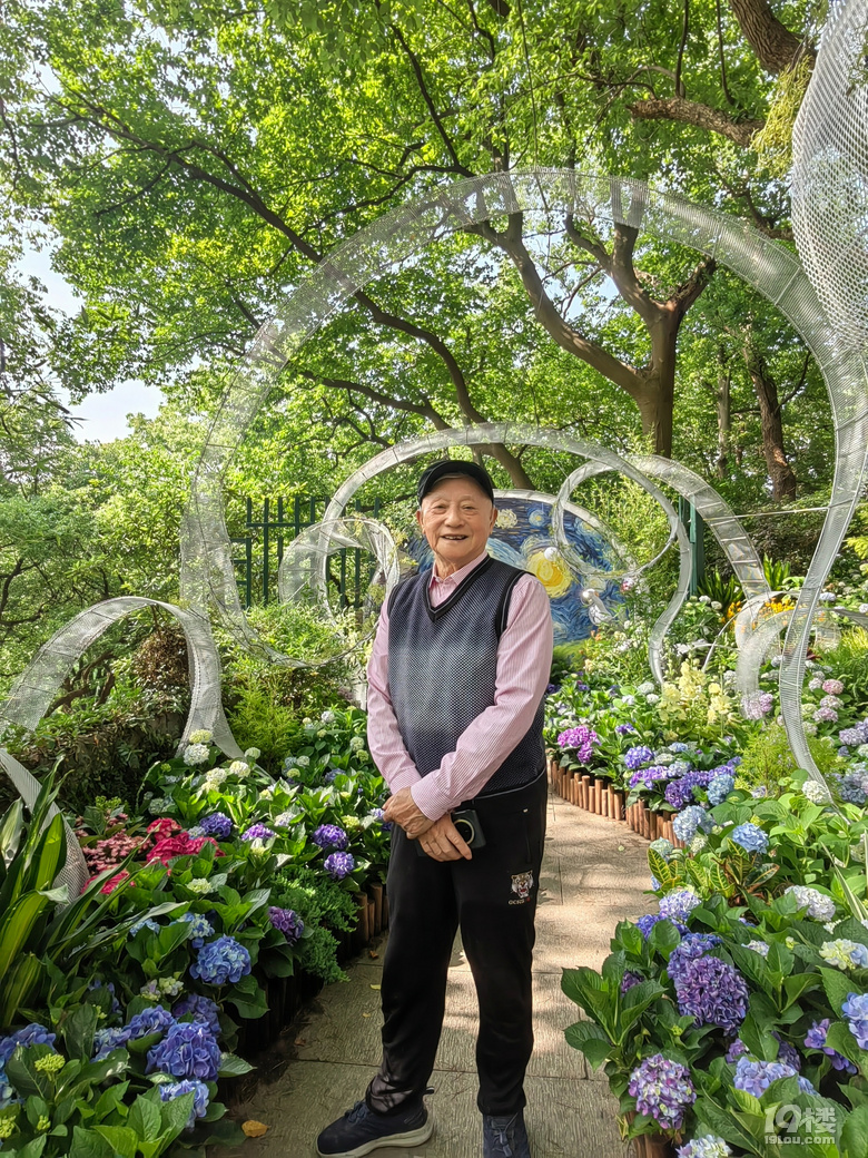 2025城隍阁绣球花展