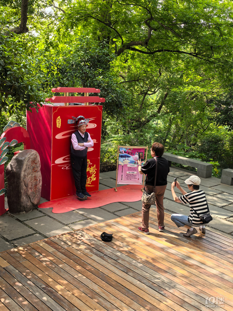 2025城隍阁绣球花展