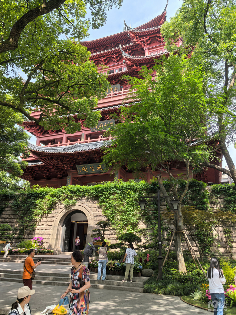 2025城隍阁绣球花展