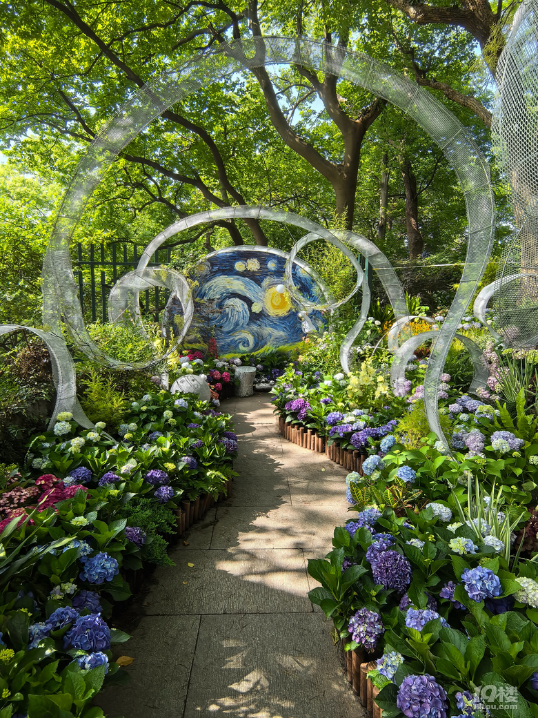 2025城隍阁绣球花展