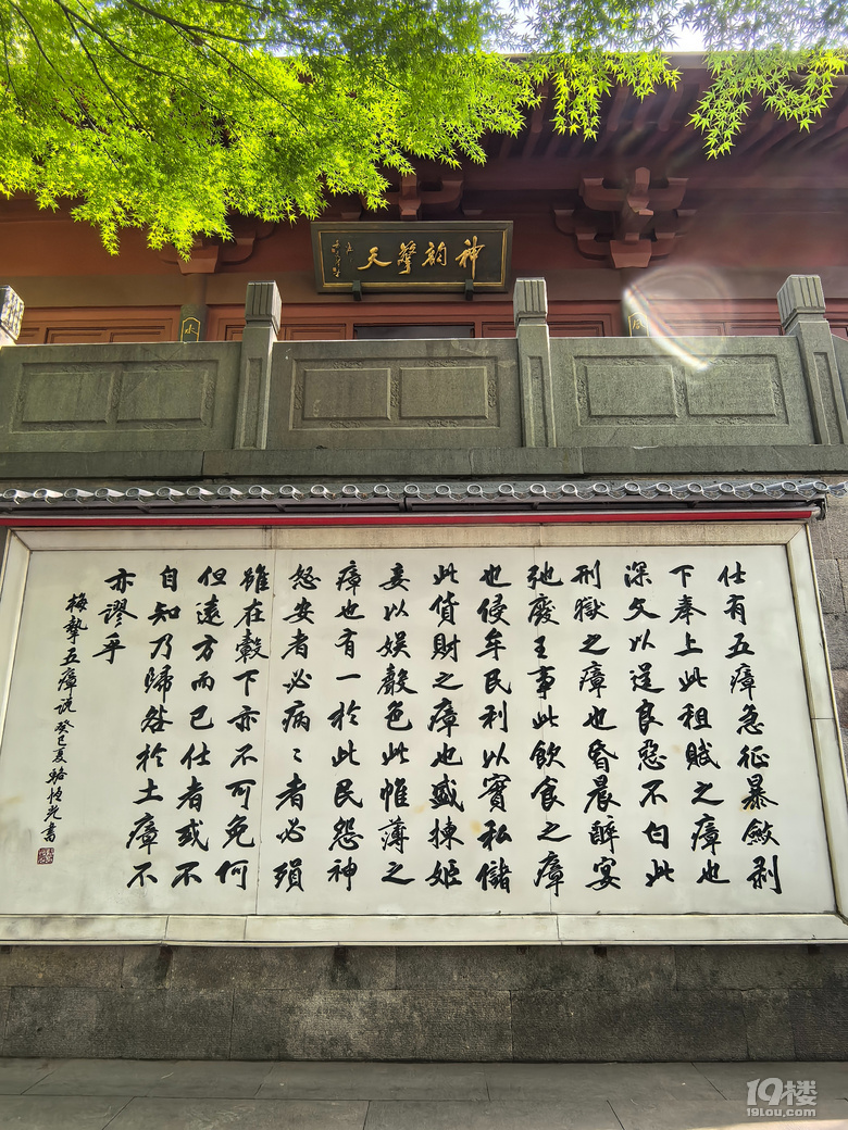 2025城隍阁绣球花展