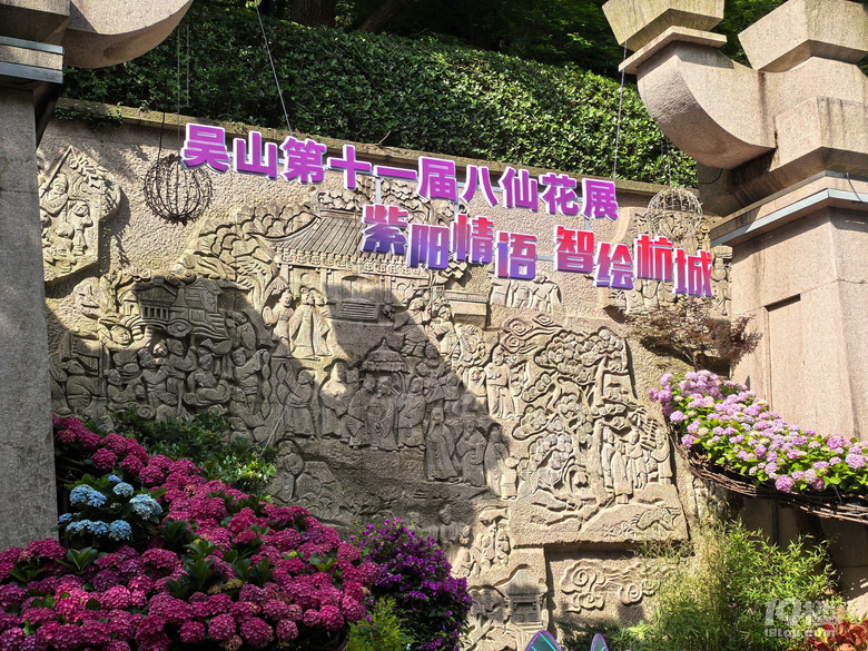 2025城隍阁绣球花展
