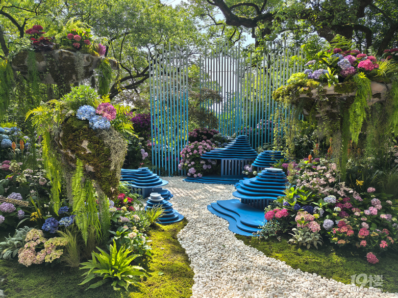 2025城隍阁绣球花展