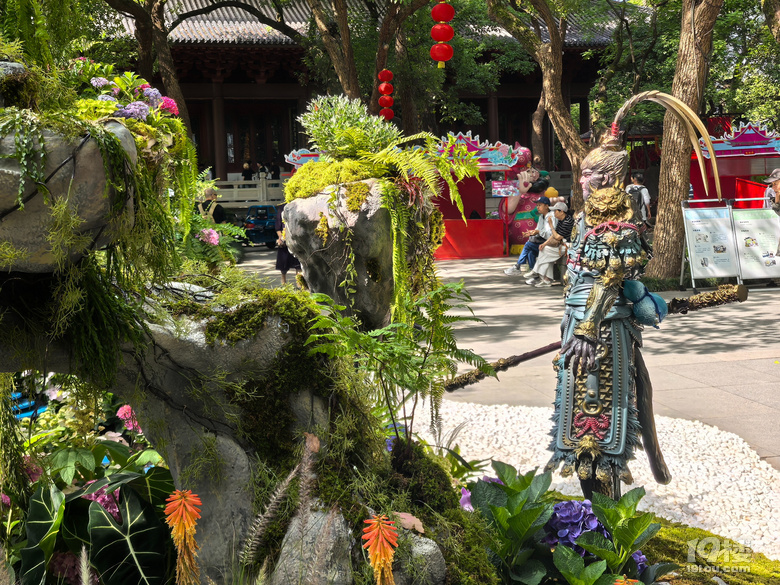 2025城隍阁绣球花展