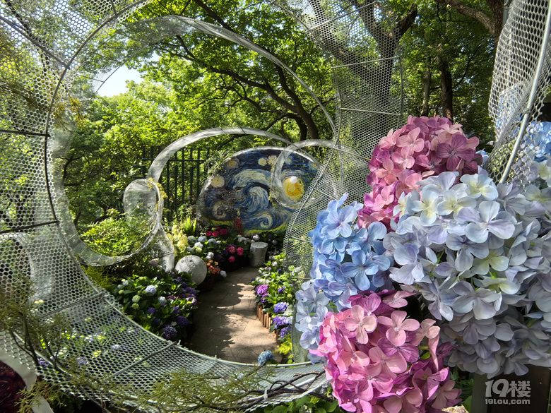 2025城隍阁绣球花展