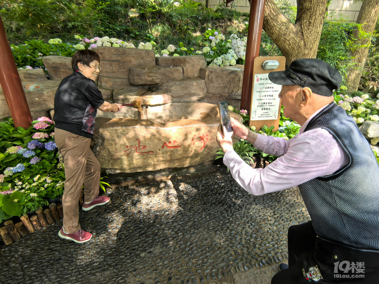 2025城隍阁绣球花展