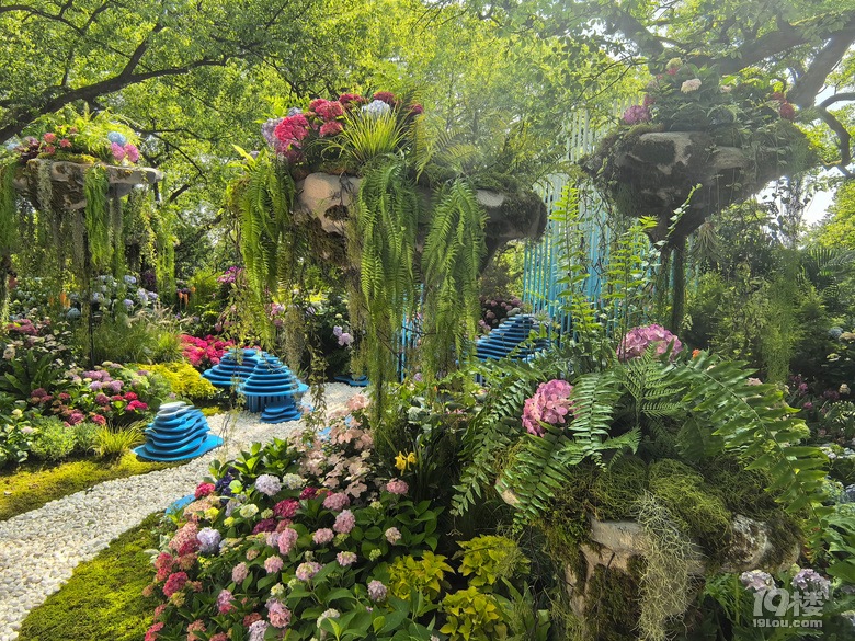 2025城隍阁绣球花展