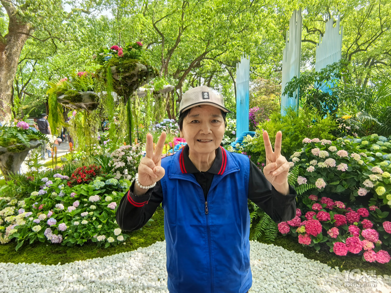 2025城隍阁绣球花展