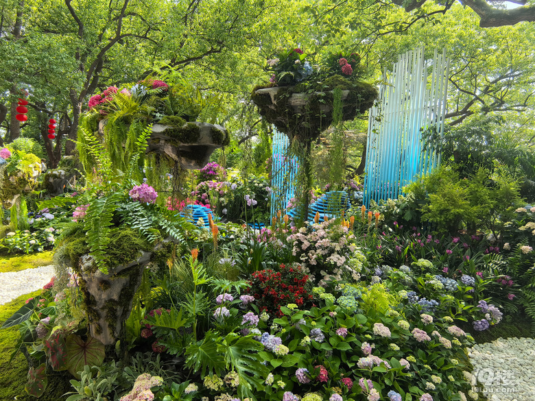 2025城隍阁绣球花展