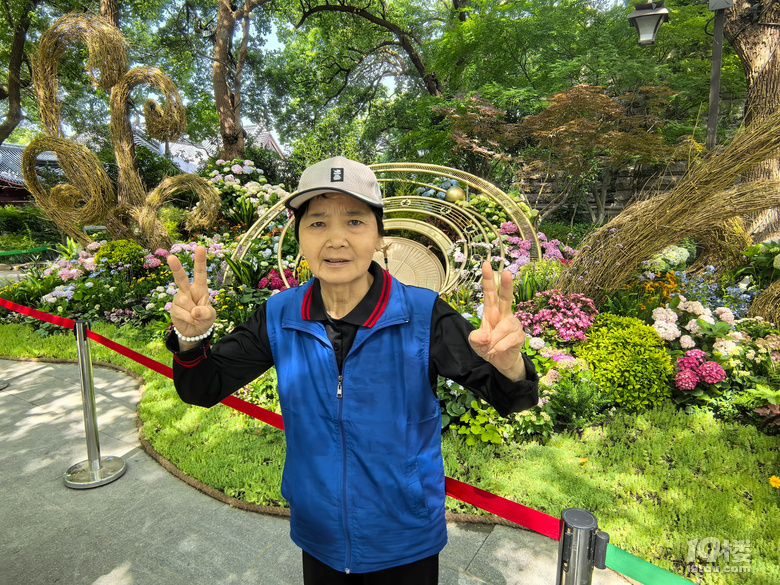 2025城隍阁绣球花展