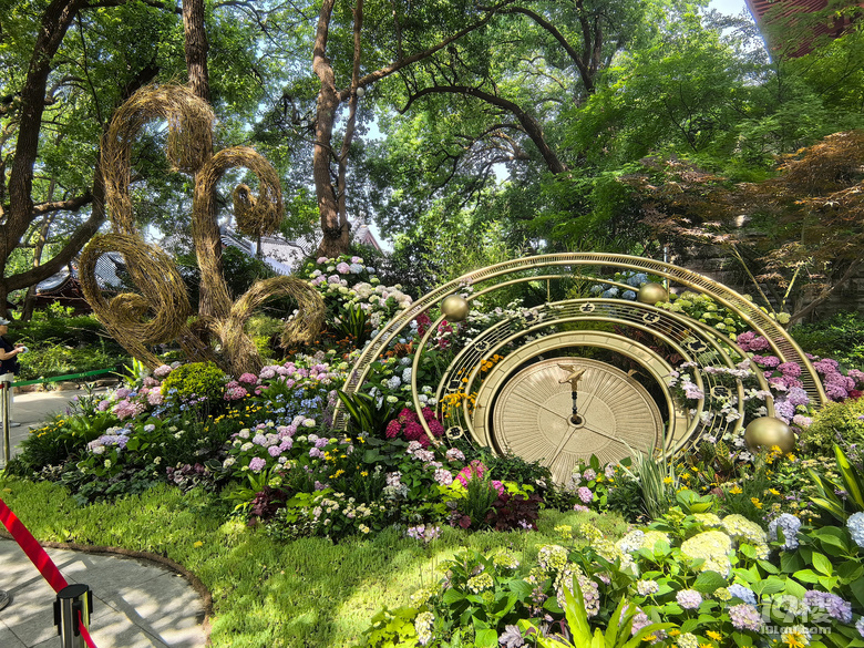 2025城隍阁绣球花展