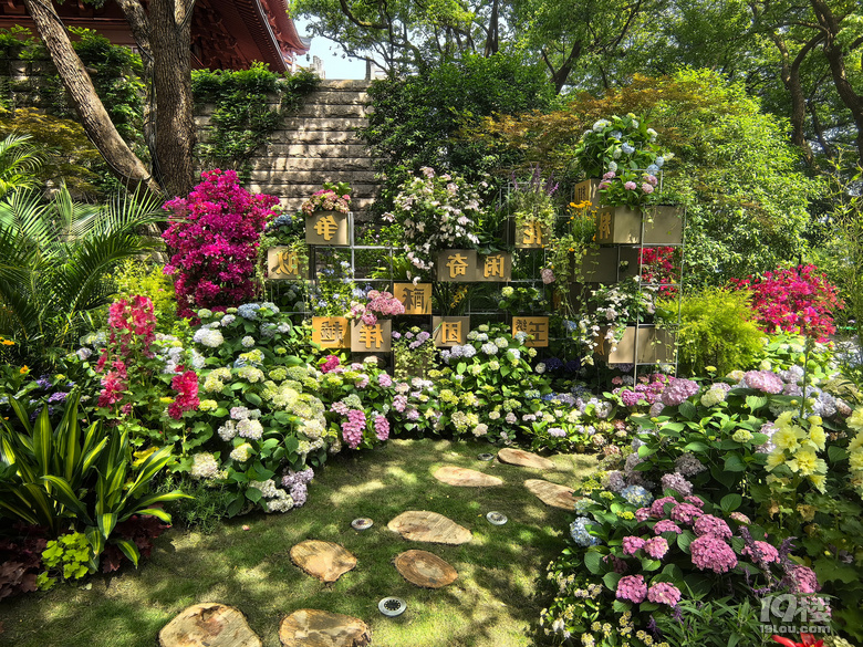 2025城隍阁绣球花展